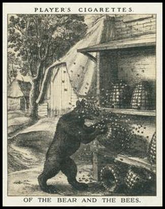 27PFA III Of the Bear and the Bees